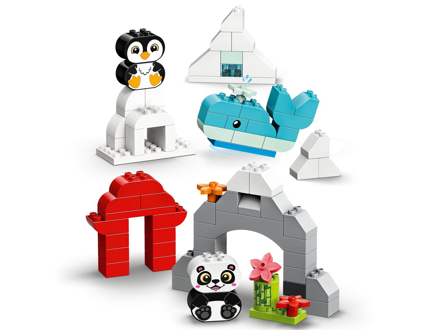 Creatieve dieren — Afbeelding 4