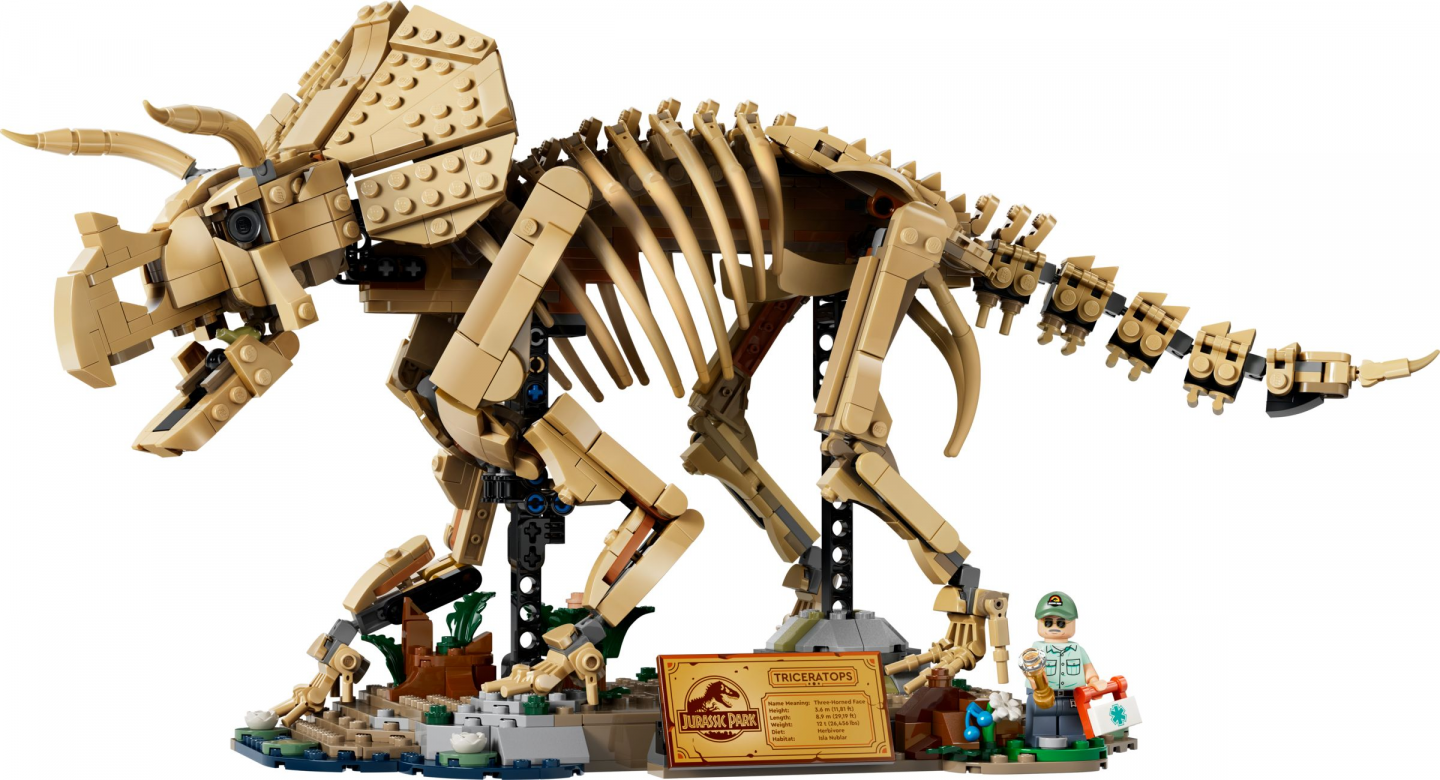 Dinosaurusfossielen: Triceratops