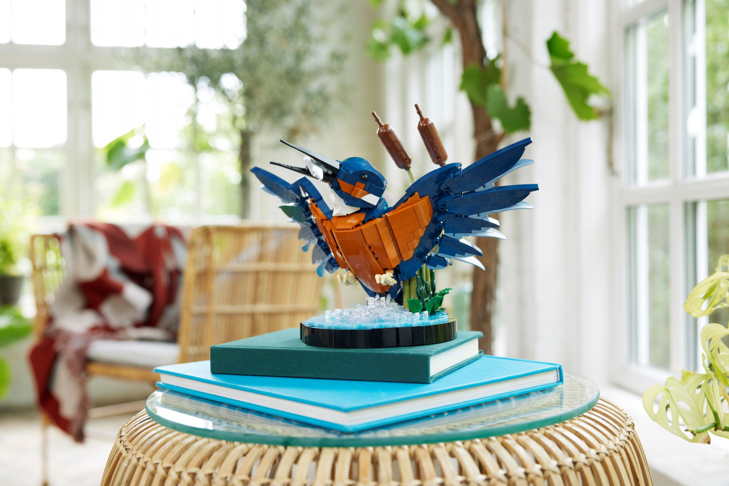 IJsvogel — Afbeelding 8