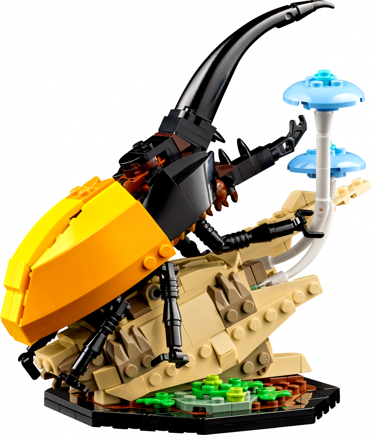 De insectencollectie — Afbeelding 5