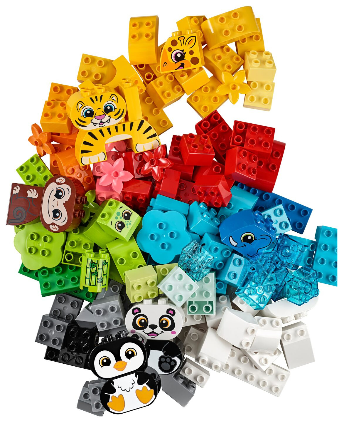 Creatieve dieren — Afbeelding 1