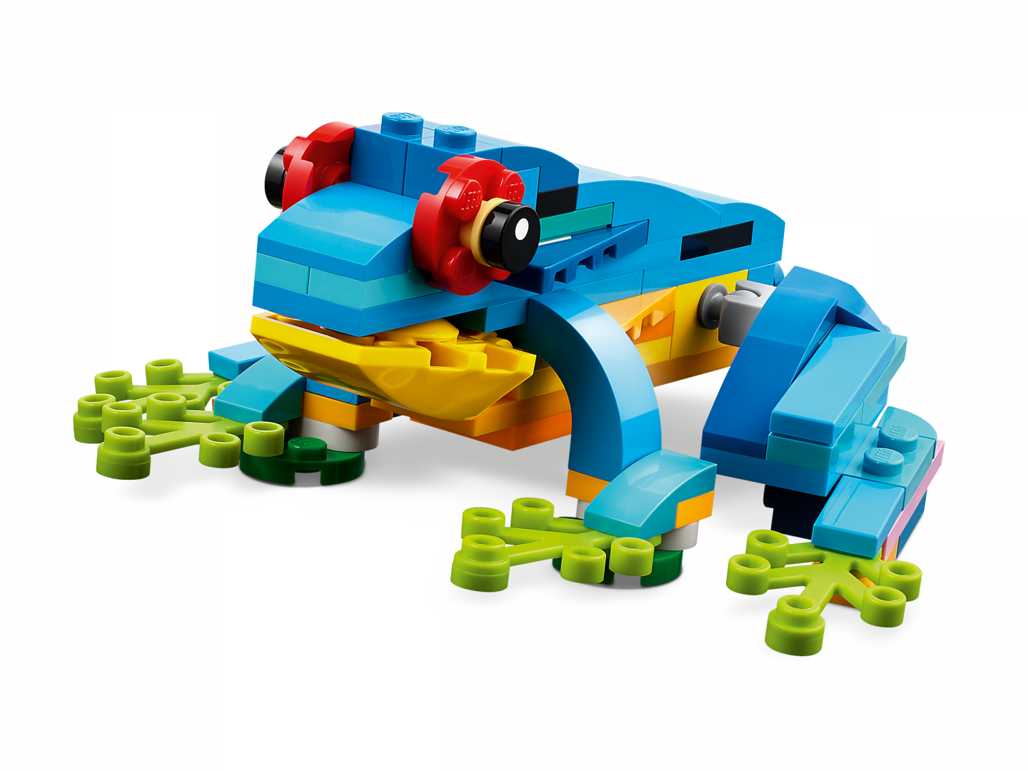 Exotische papegaai — Afbeelding 4
