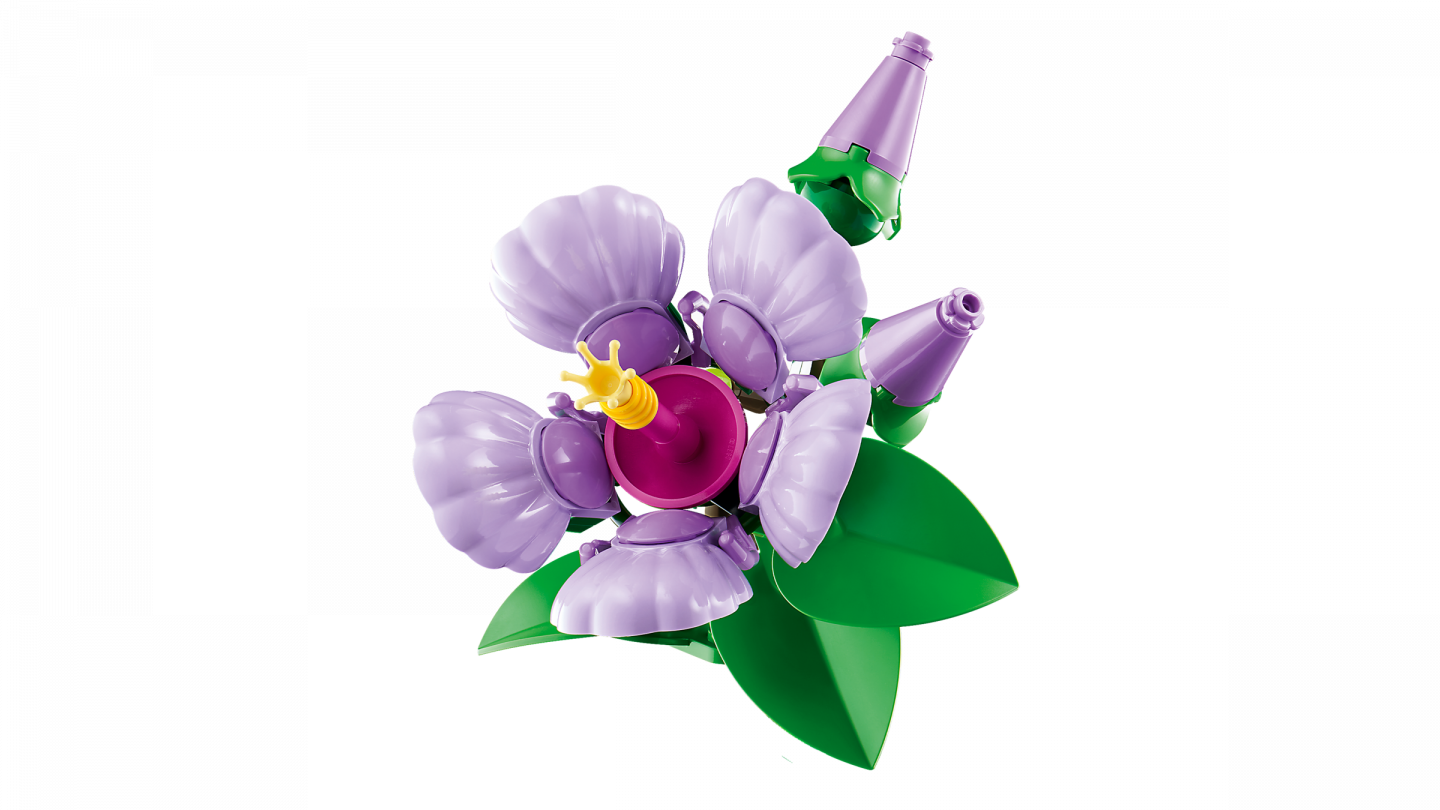 Hibiscus — Afbeelding 8