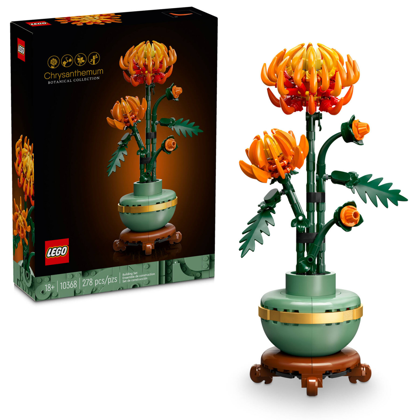 Chrysant — Afbeelding 2