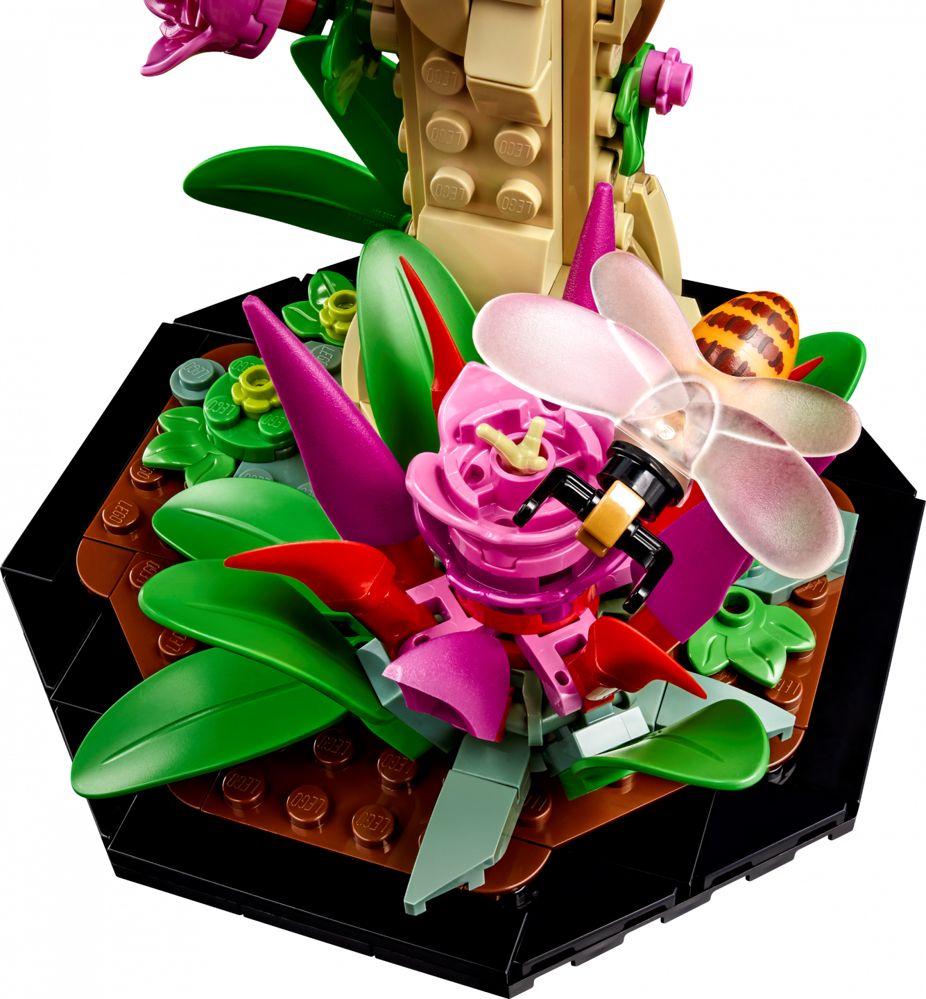 De insectencollectie — Afbeelding 6