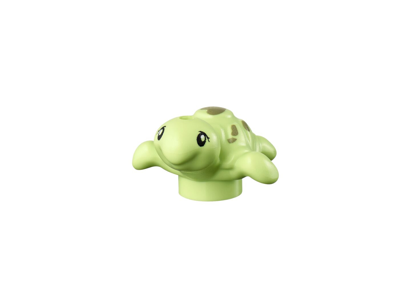 Dierenkliniek — Afbeelding 9