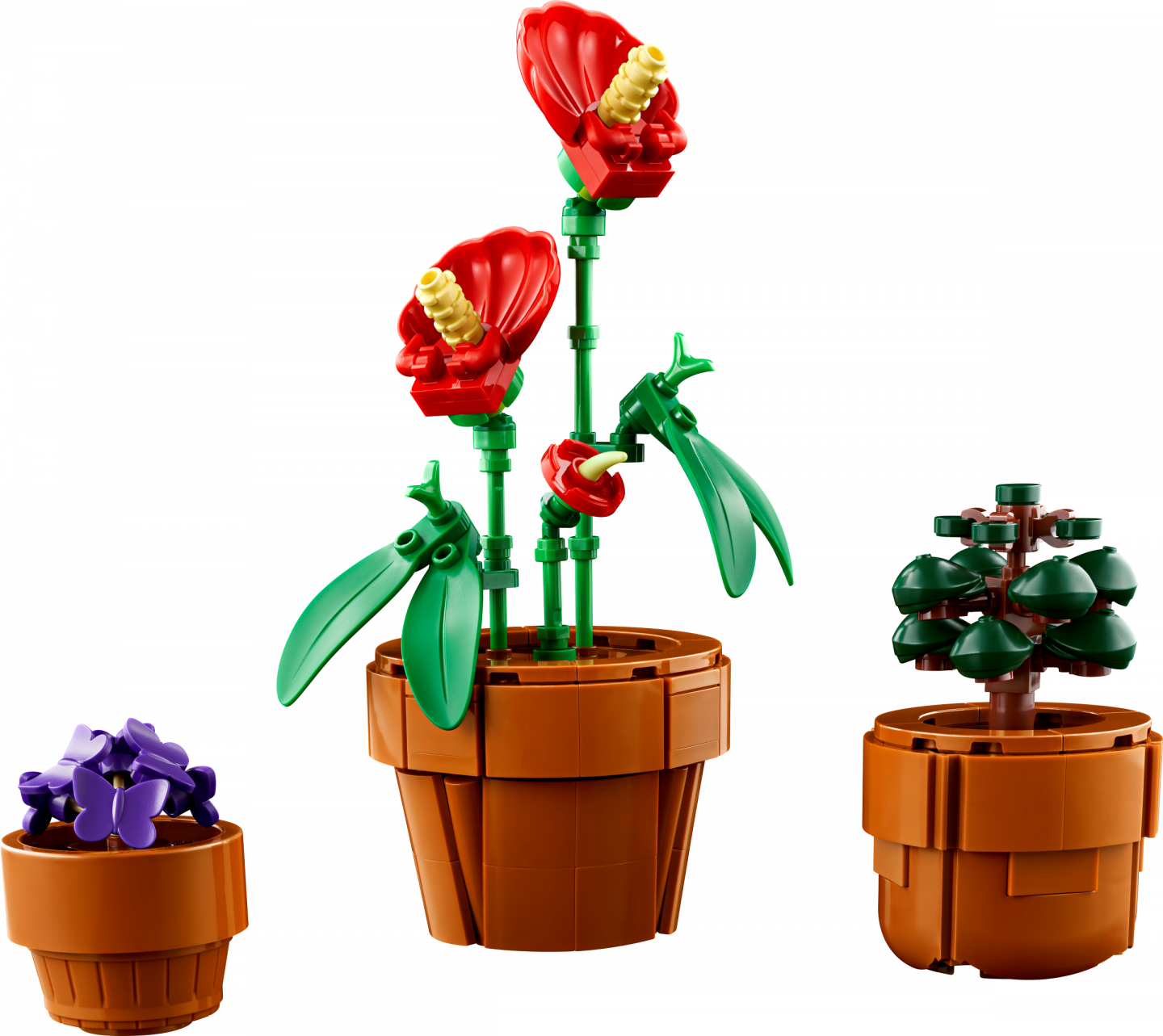 Tiny Plants — Image 4