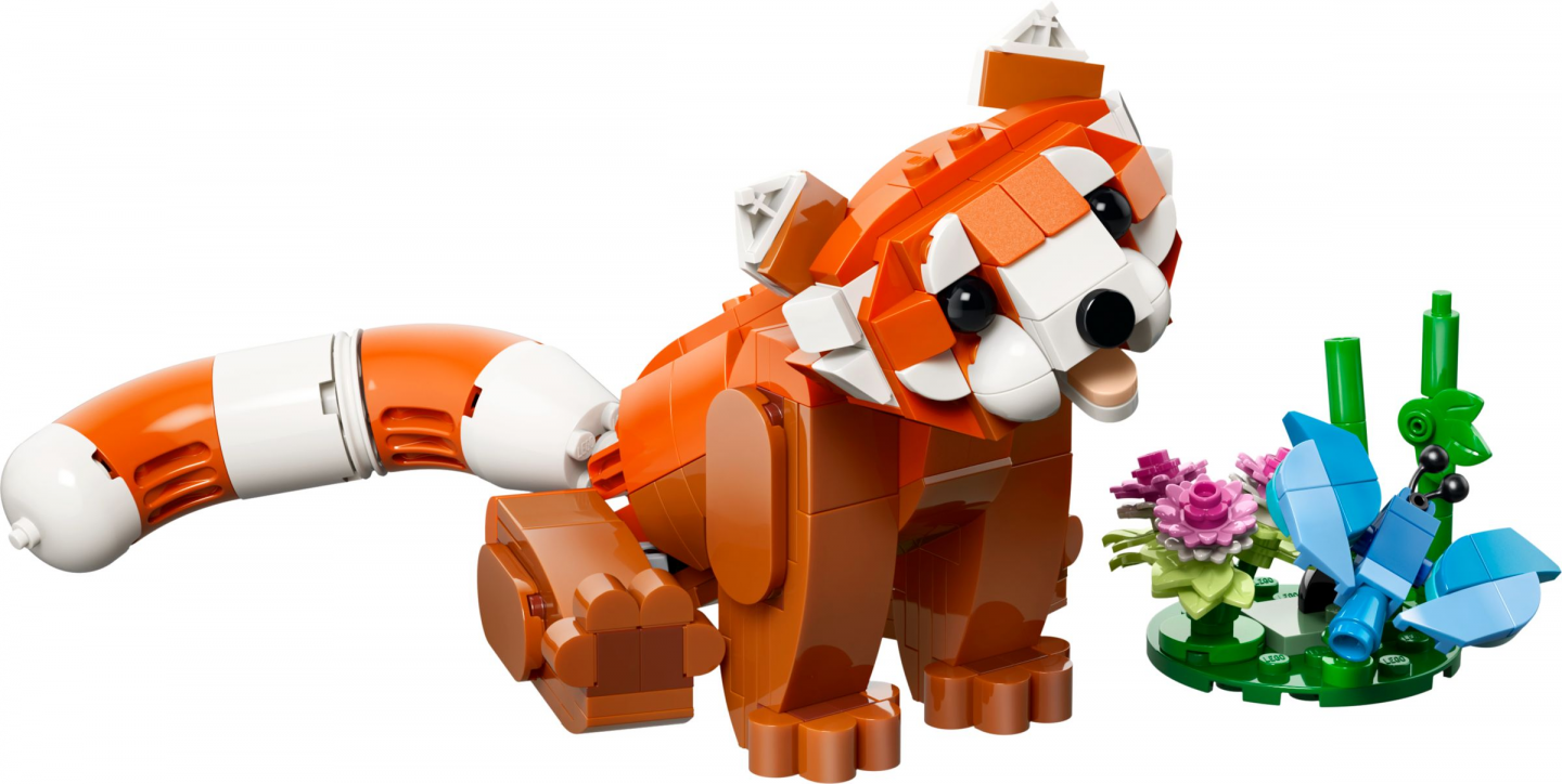 Schattige dieren: rode panda