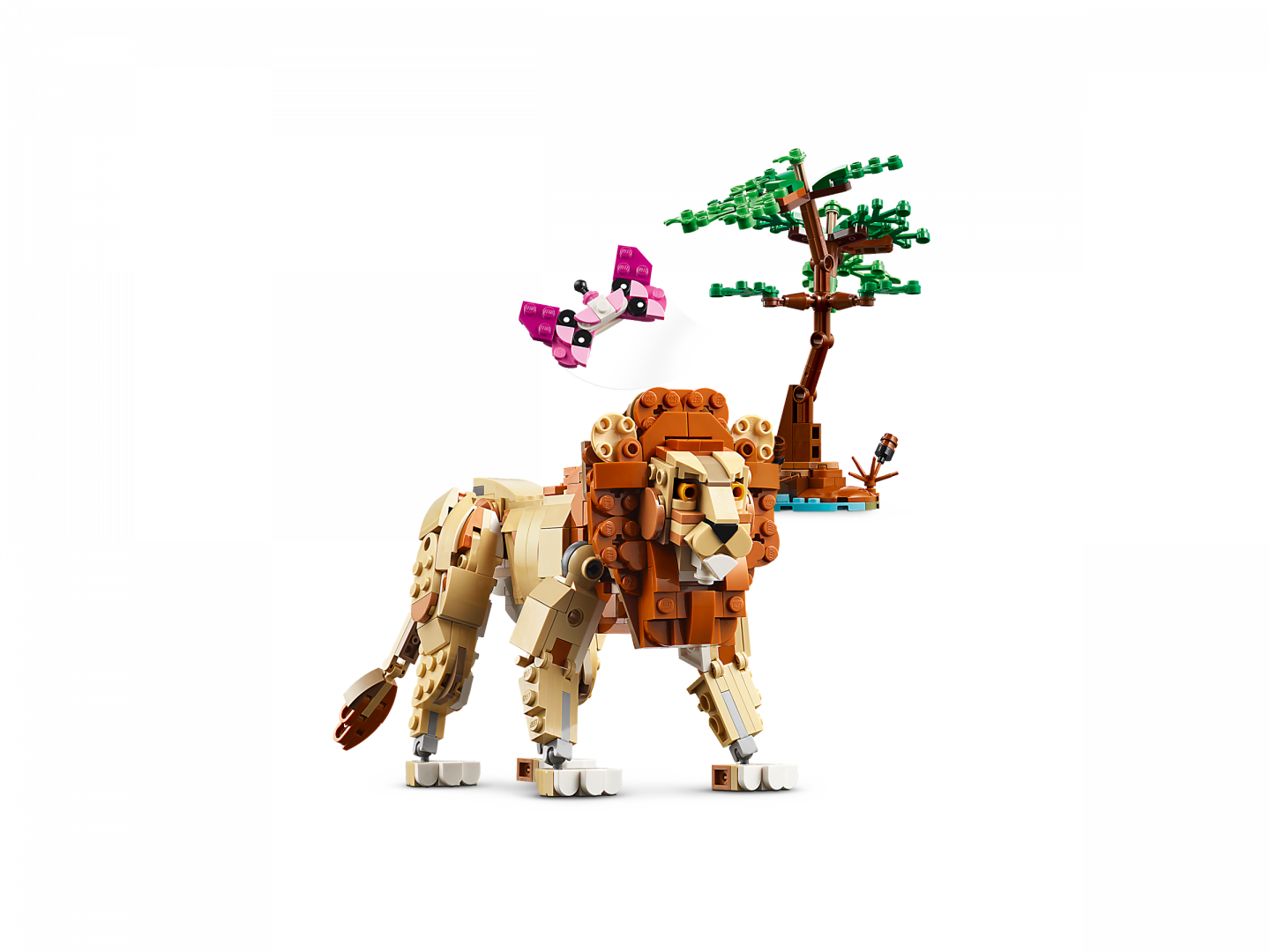 Safaridieren — Afbeelding 5