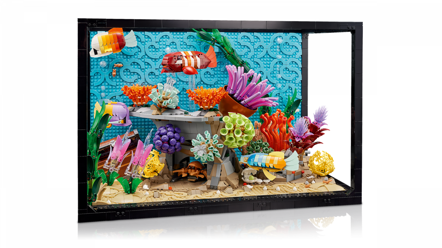 L’aquarium tropical — Image 5