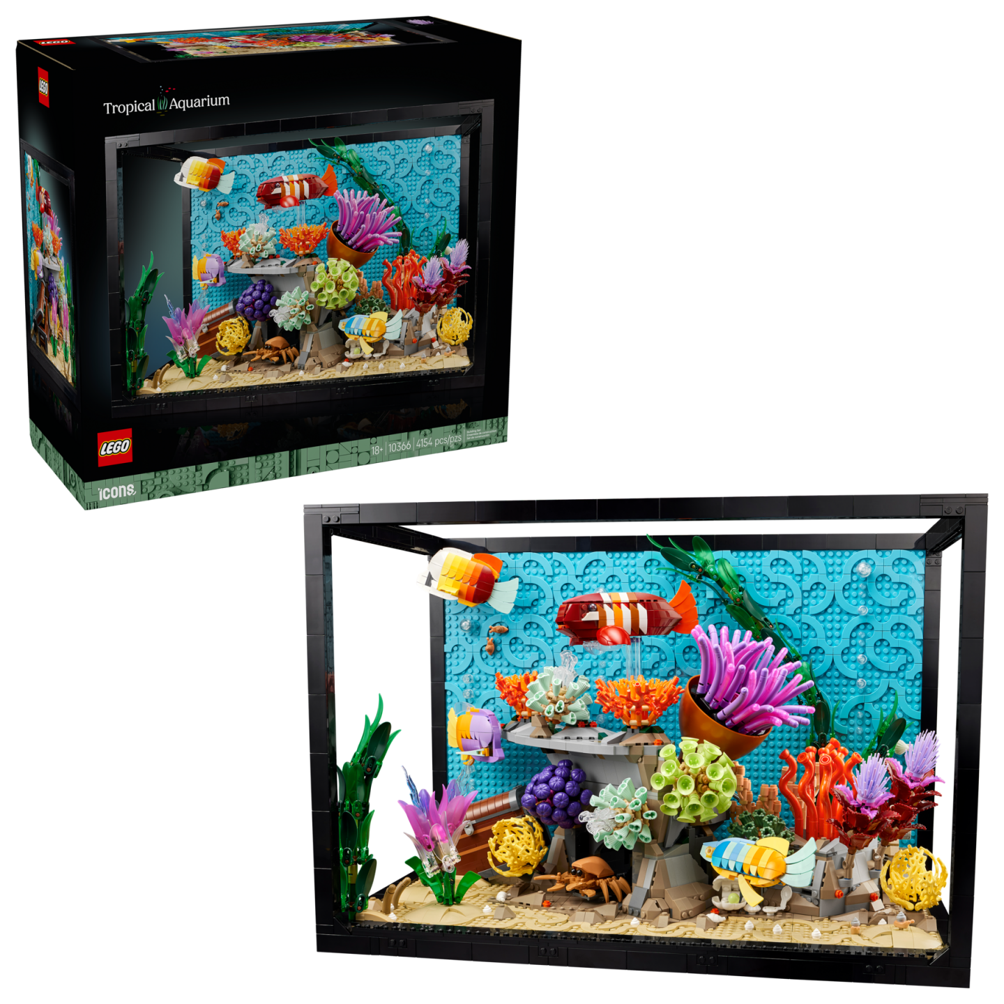 L’aquarium tropical — Image 2