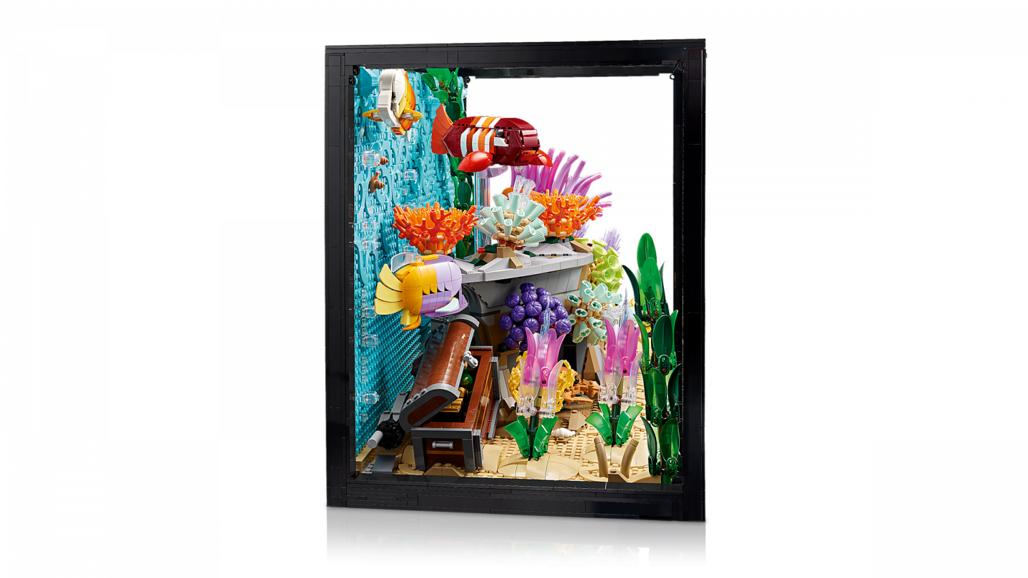 L’aquarium tropical — Image 4