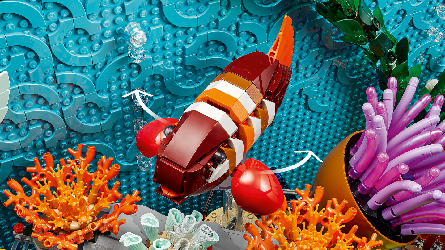L’aquarium tropical — Image 7
