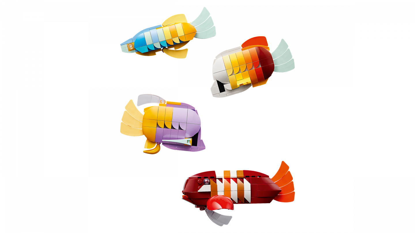 L’aquarium tropical — Image 6