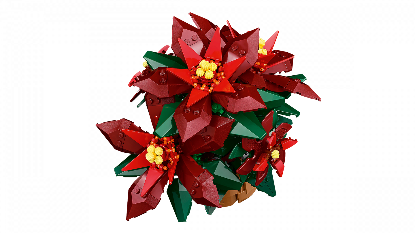 Kerstster — Afbeelding 3