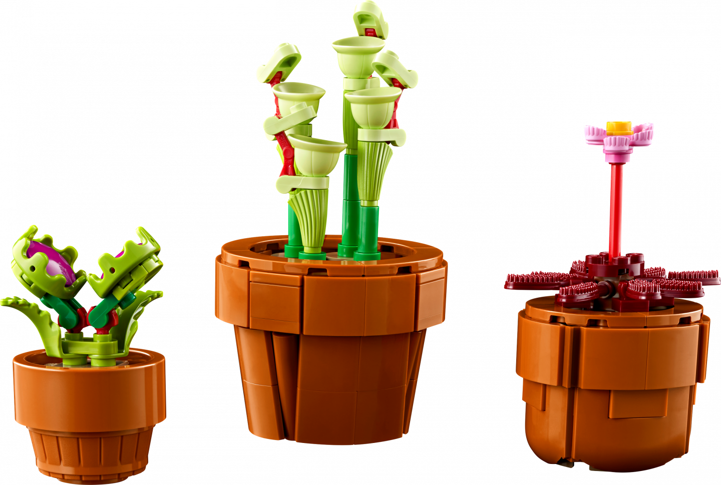 Tiny Plants — Image 5