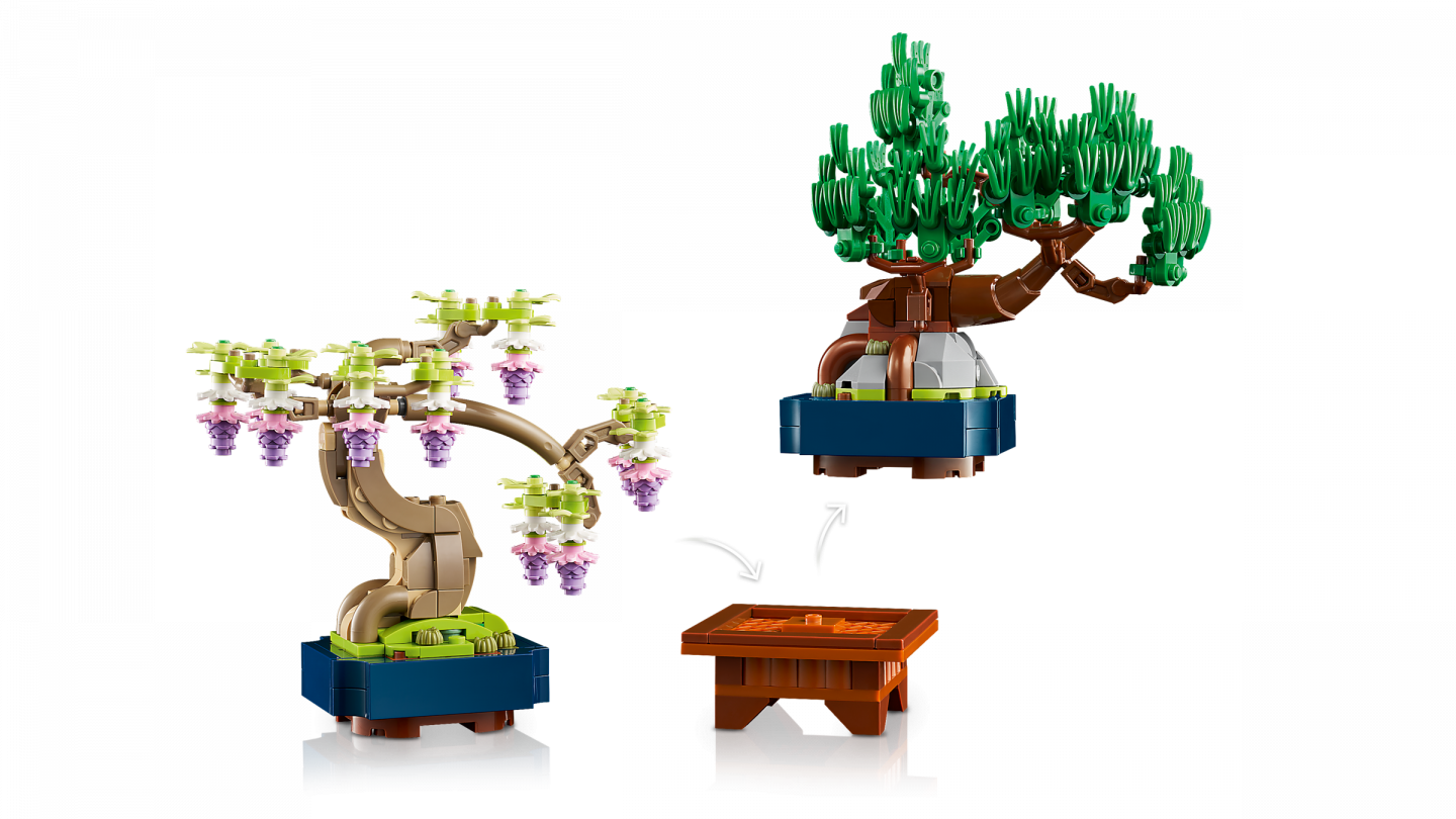 Mini bonsaiboompjes — Afbeelding 9