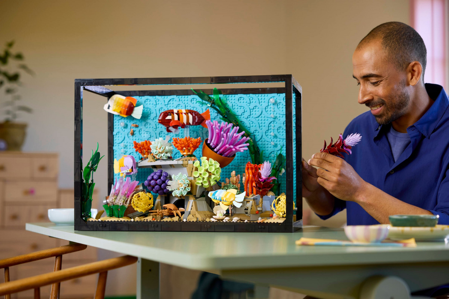 L’aquarium tropical — Image 10