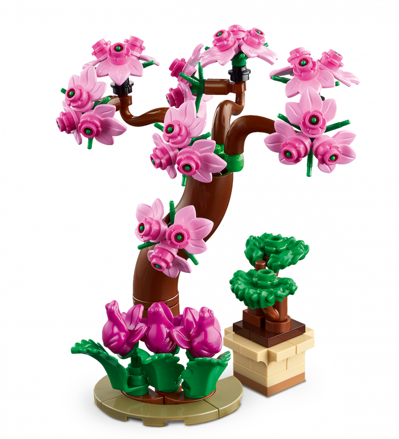 Botanische tuin — Afbeelding 4