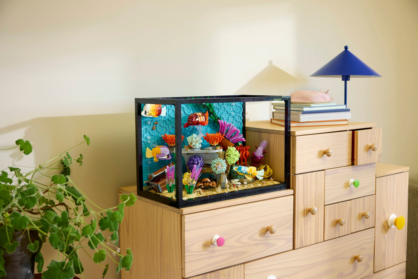 L’aquarium tropical — Image 11