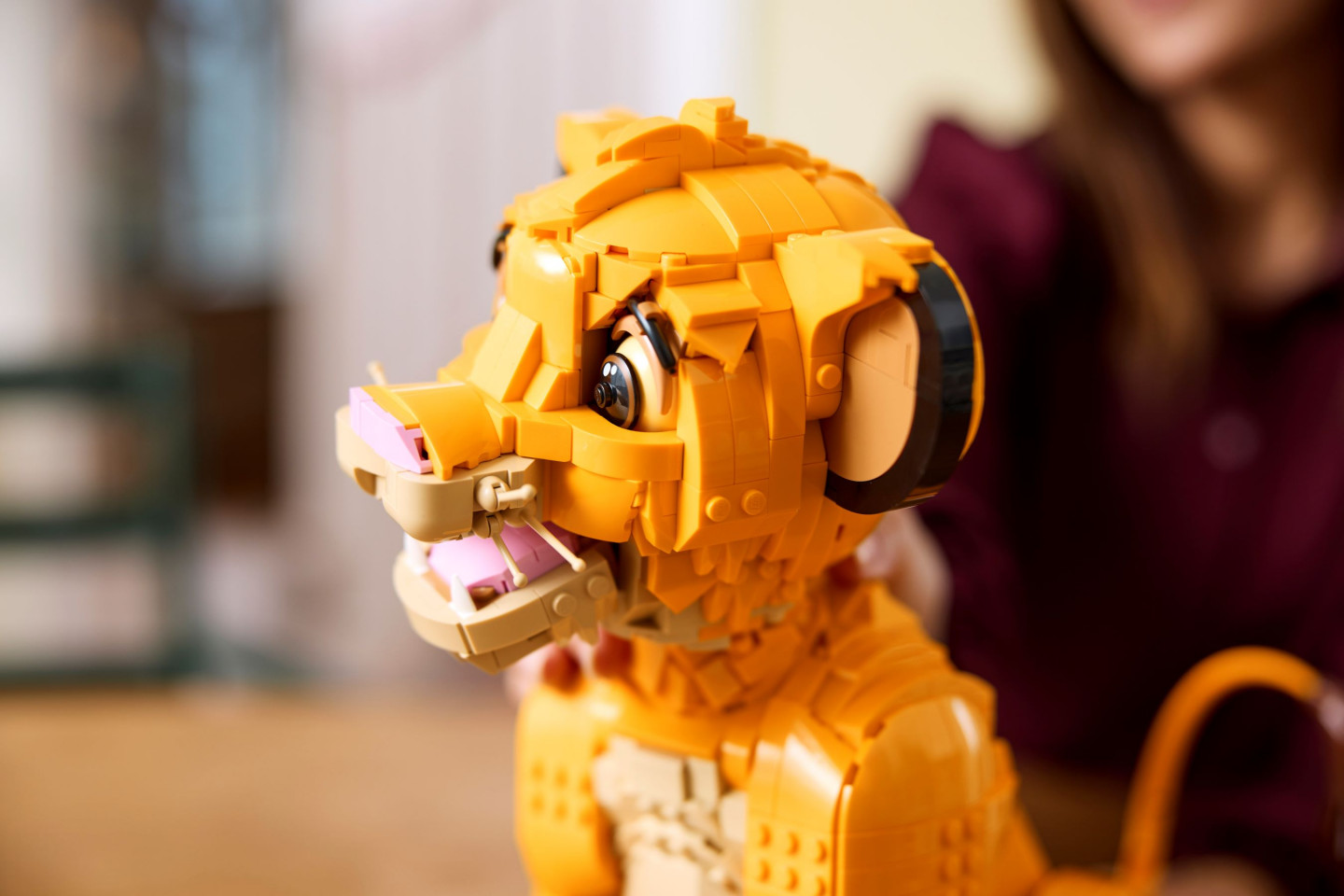 Jonge Simba de Leeuwenkoning — Afbeelding 7