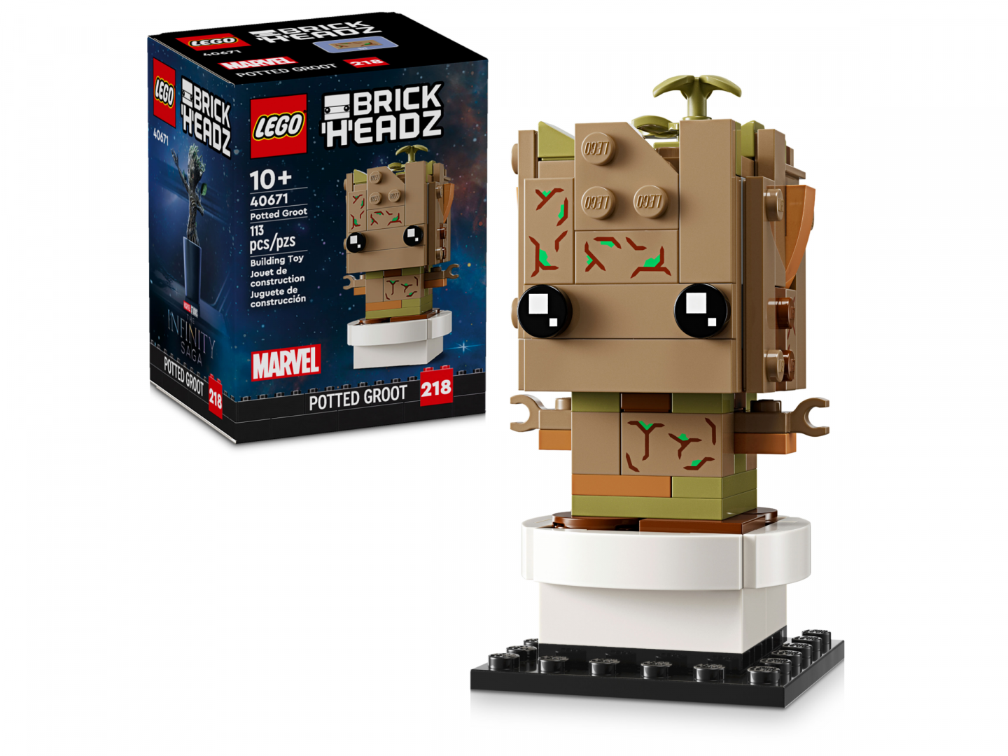 Groot in pot — Afbeelding 2