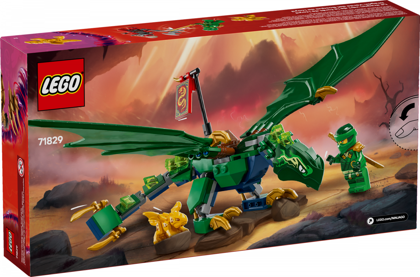 Lloyds groene bosdraak — Afbeelding 8