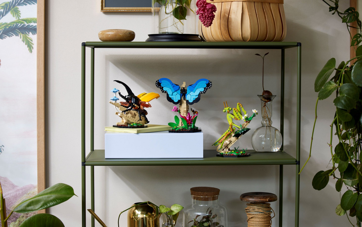 De insectencollectie — Afbeelding 9