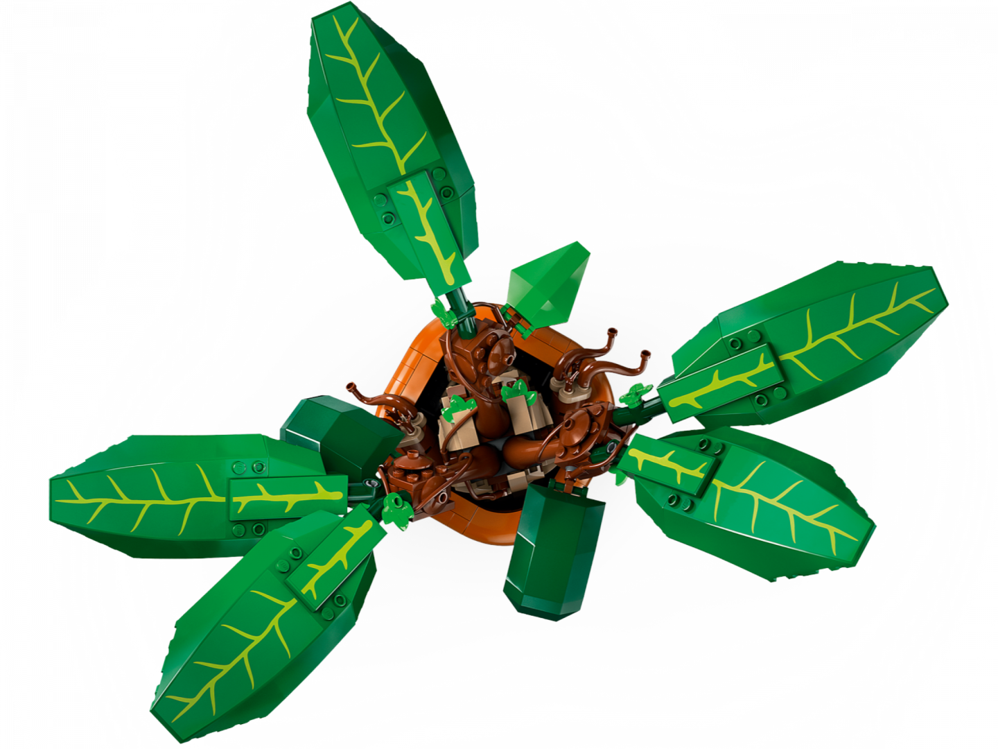 Mandragora — Afbeelding 5