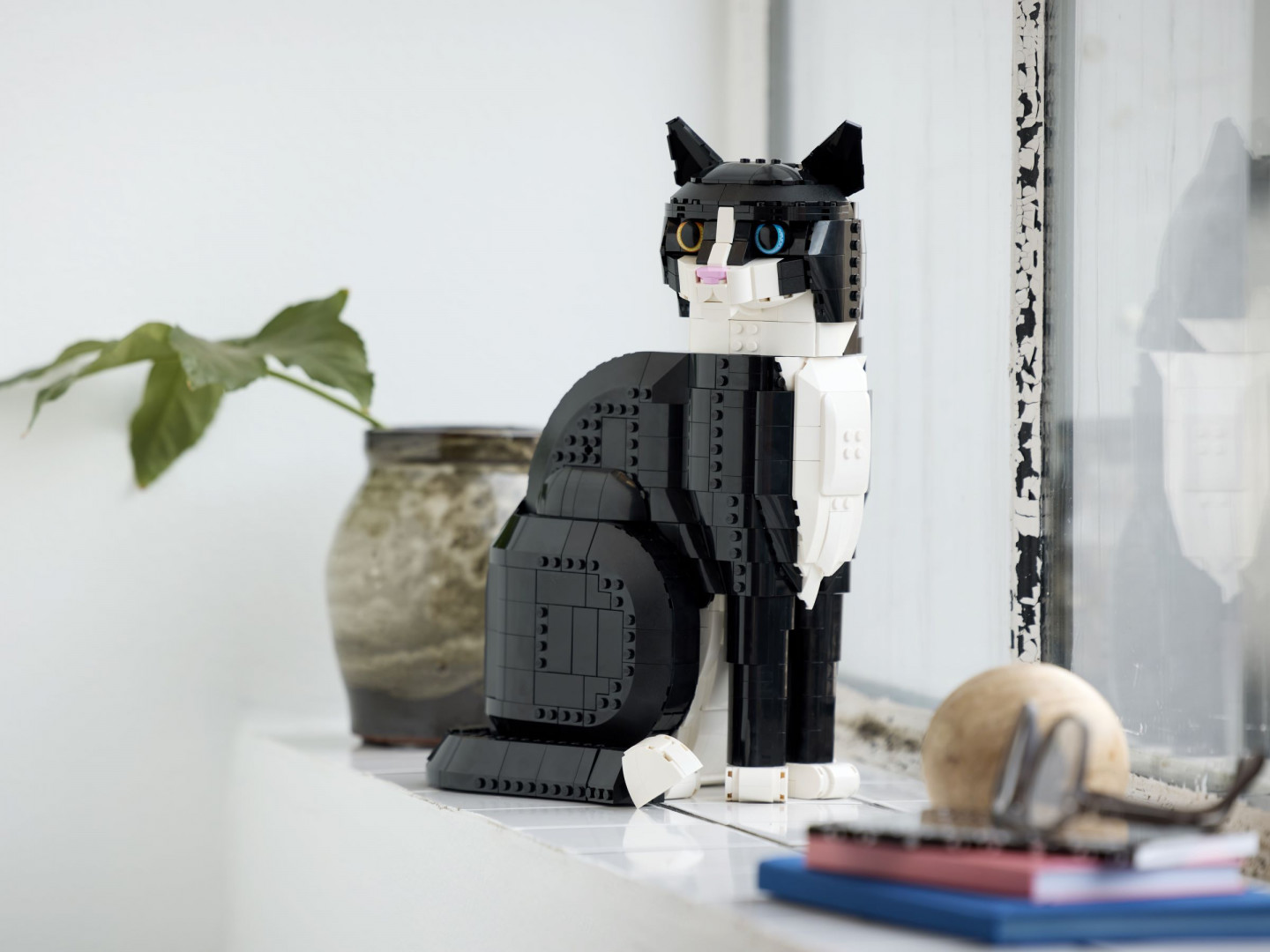 Zwart-witte kat — Afbeelding 9