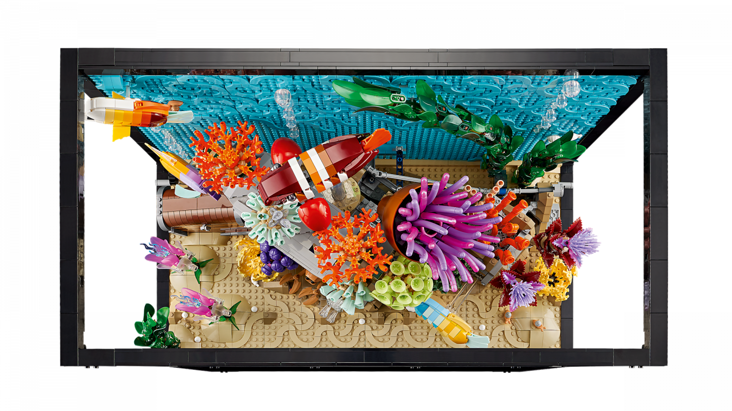 L’aquarium tropical — Image 3