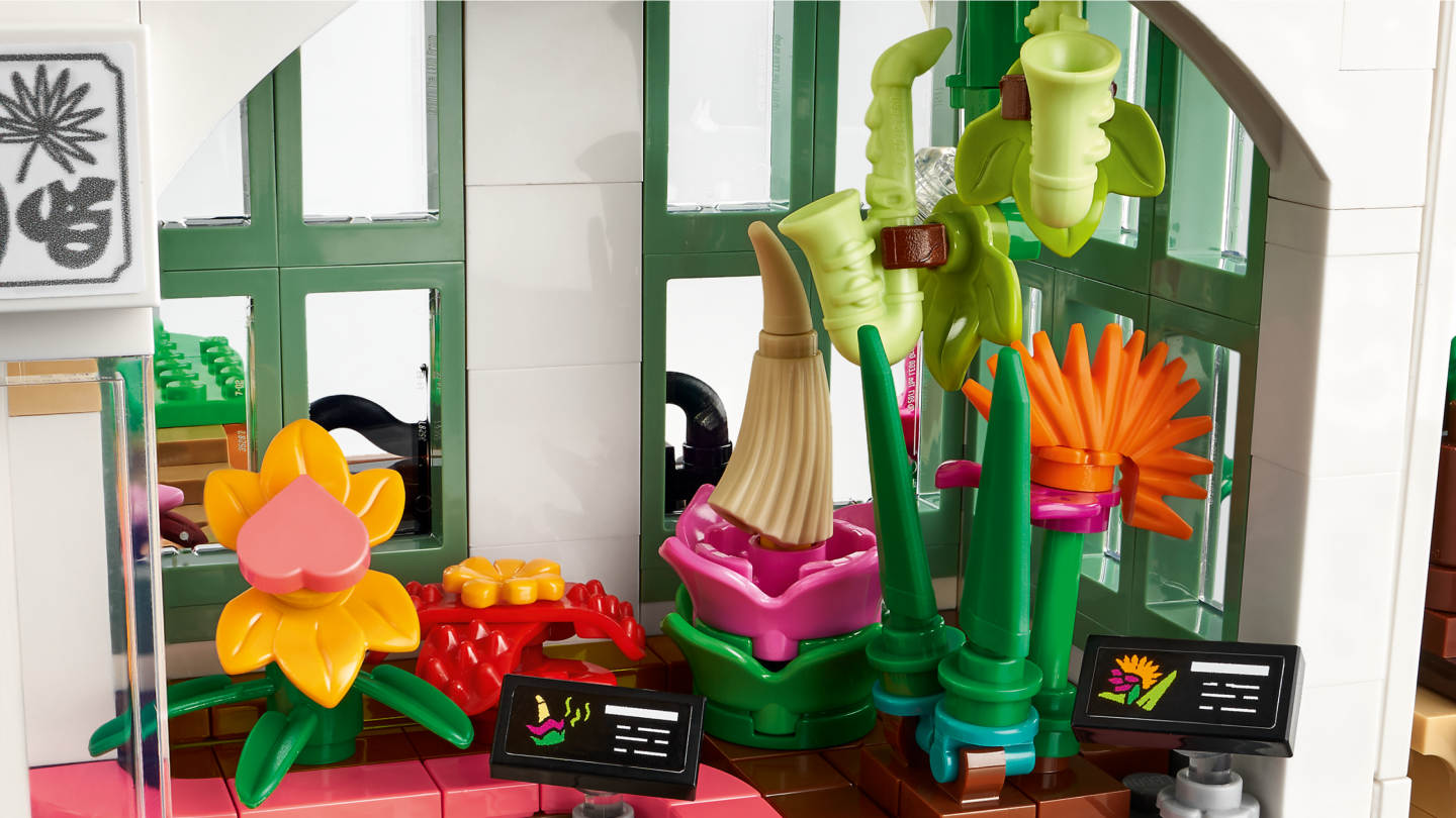Botanische tuin — Afbeelding 6