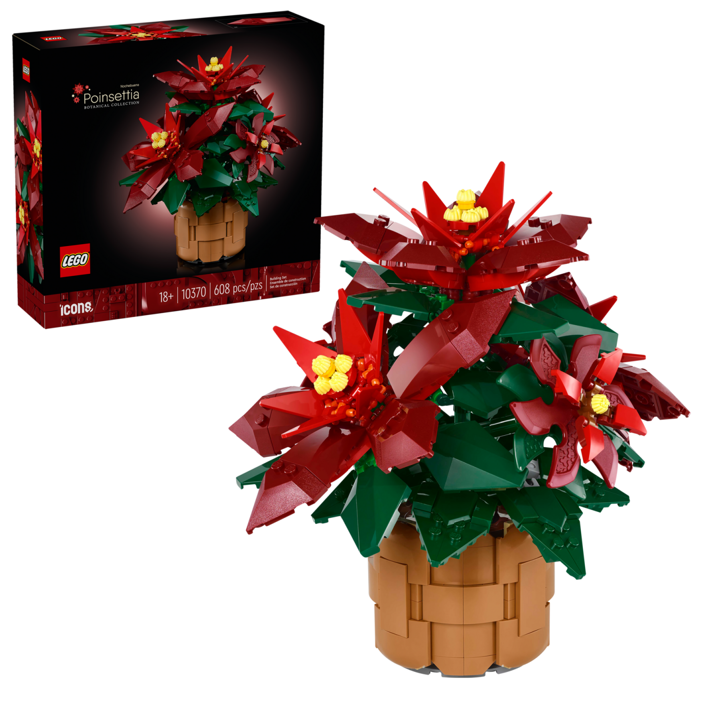 Kerstster — Afbeelding 2