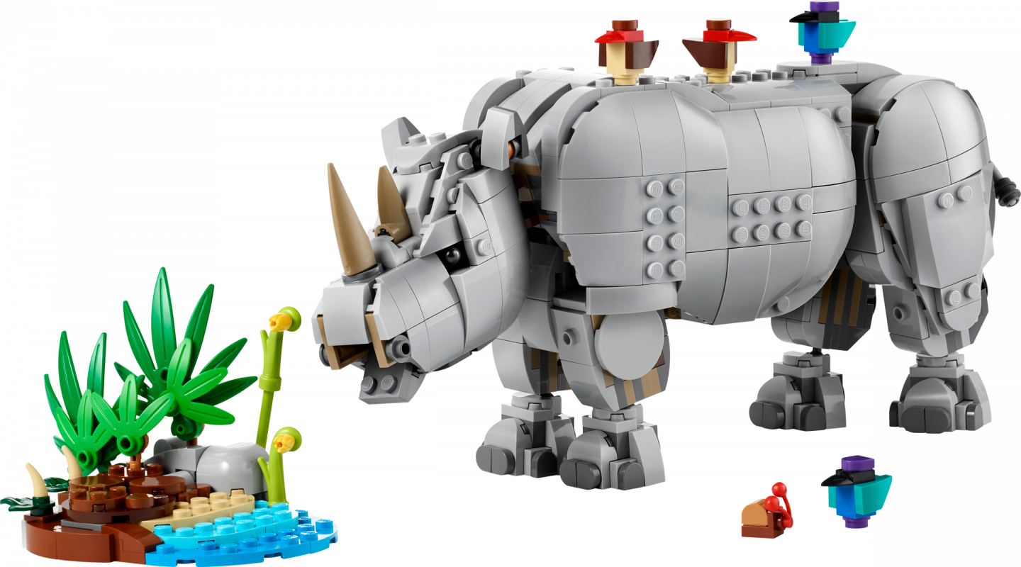 Wilde dieren: machtige neushoorn met vogels