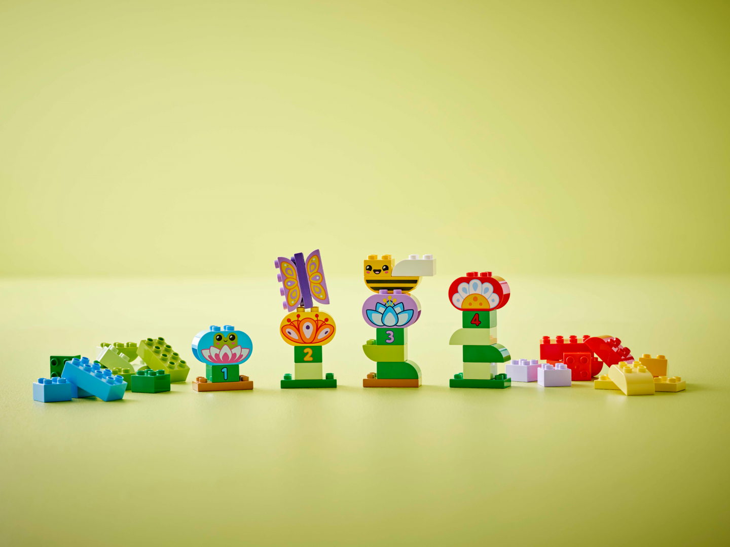 Creatieve bloementuin — Afbeelding 7