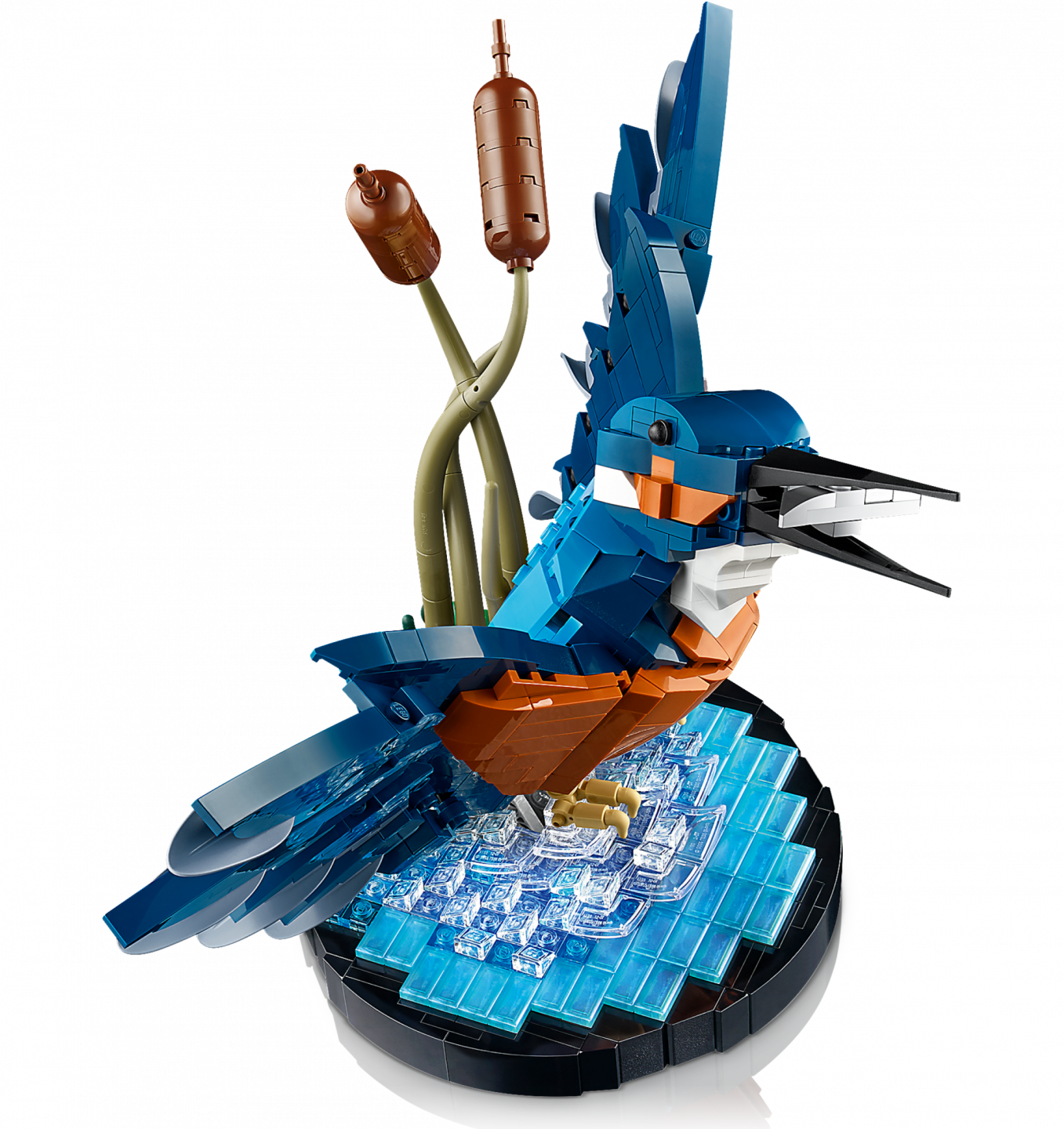 IJsvogel — Afbeelding 3