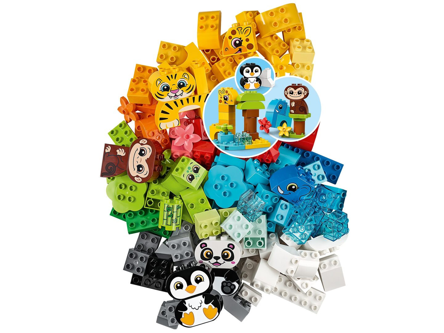 Creatieve dieren — Afbeelding 3