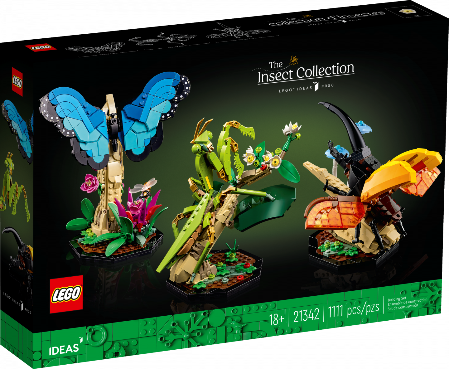 De insectencollectie — Afbeelding 2