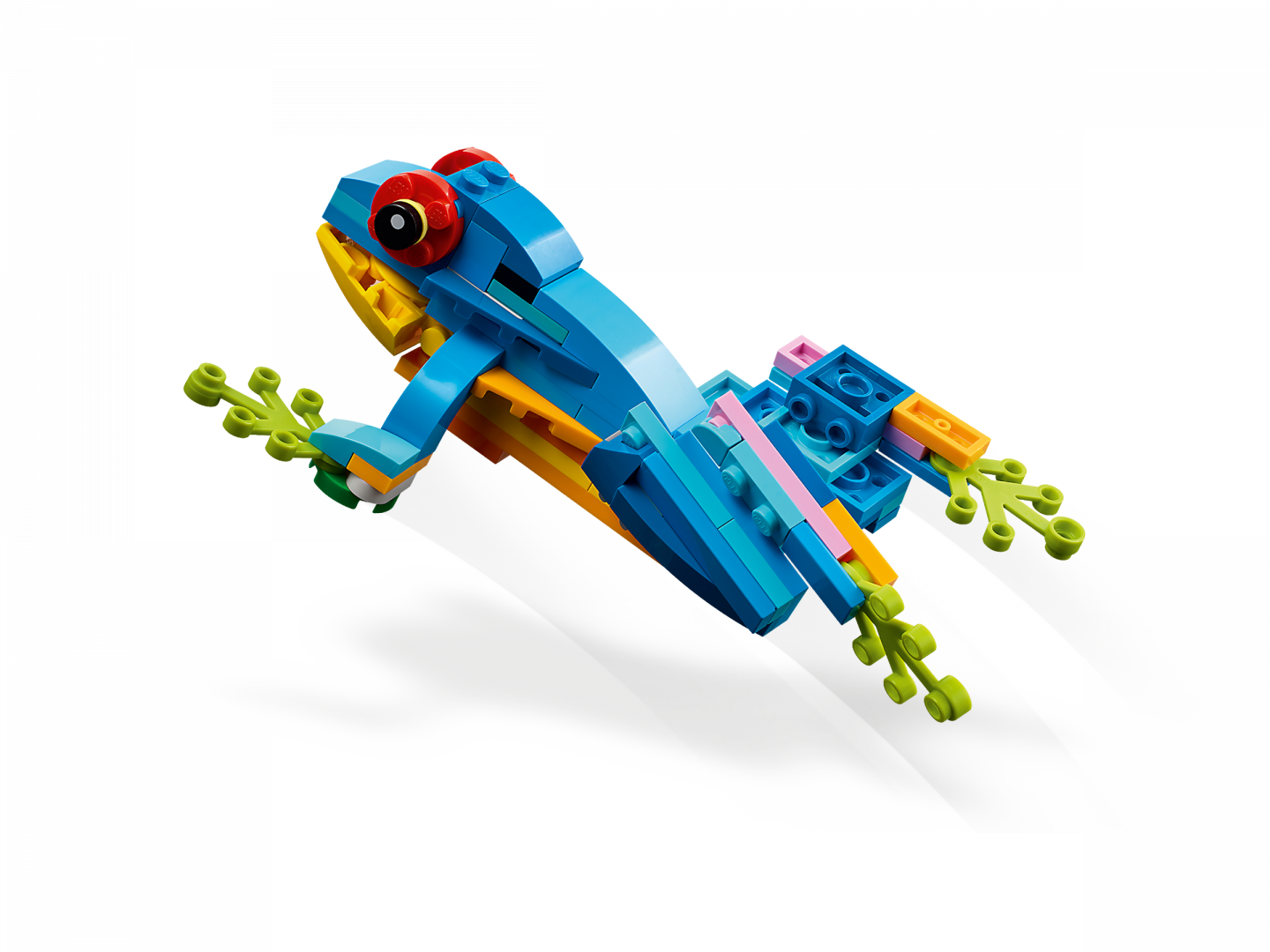 Exotische papegaai — Afbeelding 5