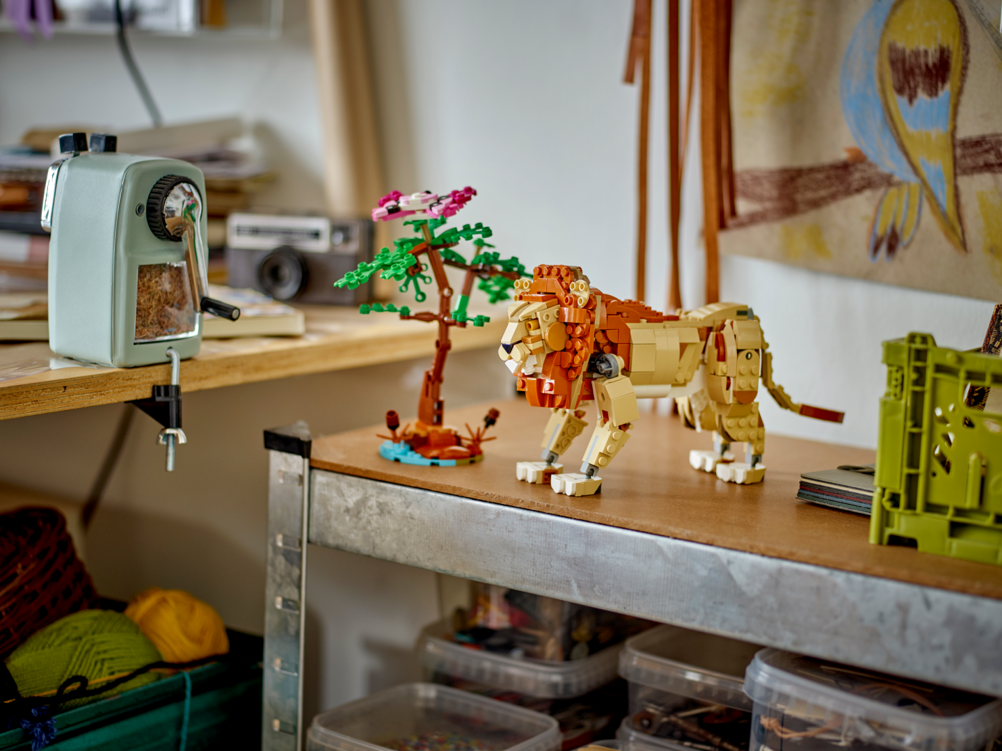 Safaridieren — Afbeelding 10