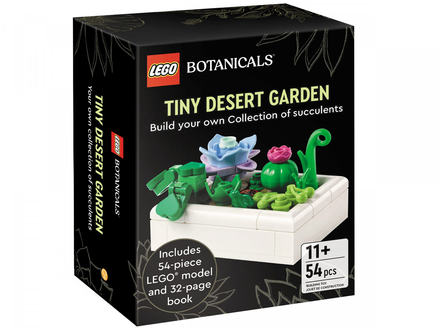 Mini woestijntuin