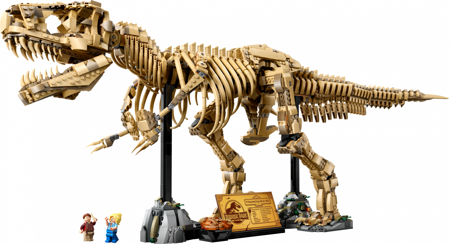 Dinosaurusfossielen: Tyrannosaurus rex