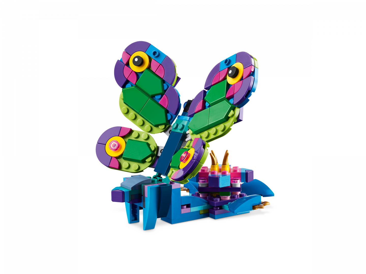 Exotische pauw — Afbeelding 6