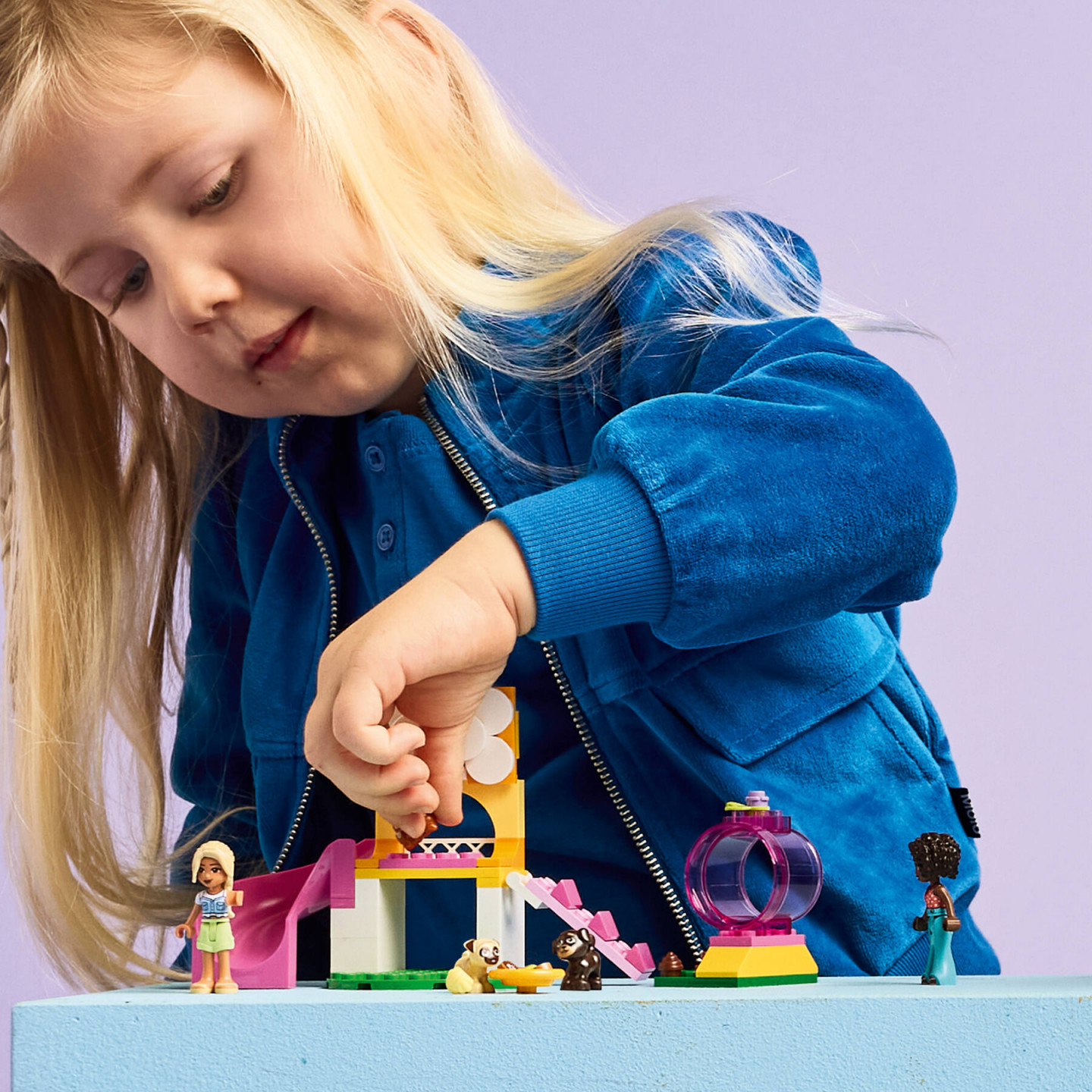 Hondenspeeltuin — Afbeelding 5