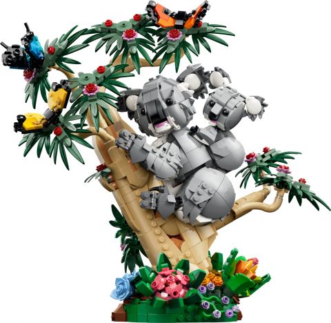 Wilde dieren: koalafamilie