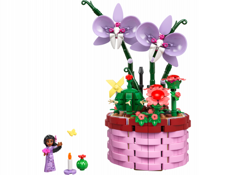 Isabela's bloempot