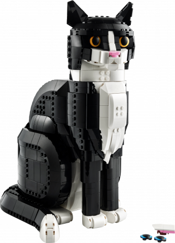 Zwart-witte kat