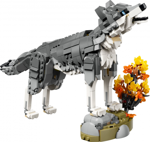 Bosdieren: grijze wolf
