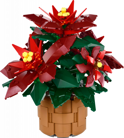Kerstster