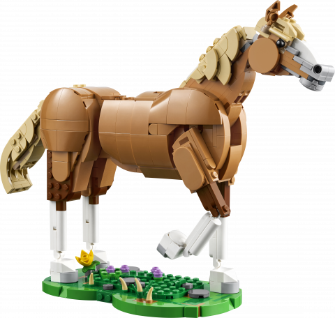 Prachtig paard